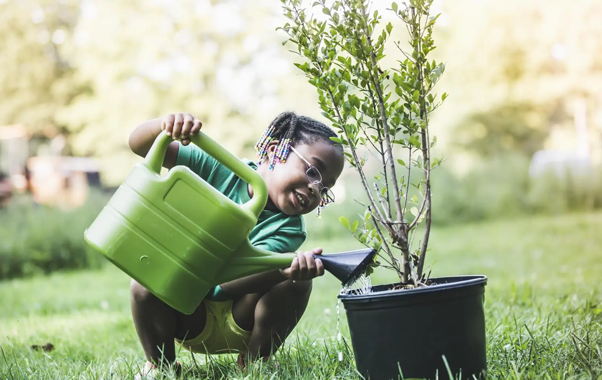 Sustainable Portfolio