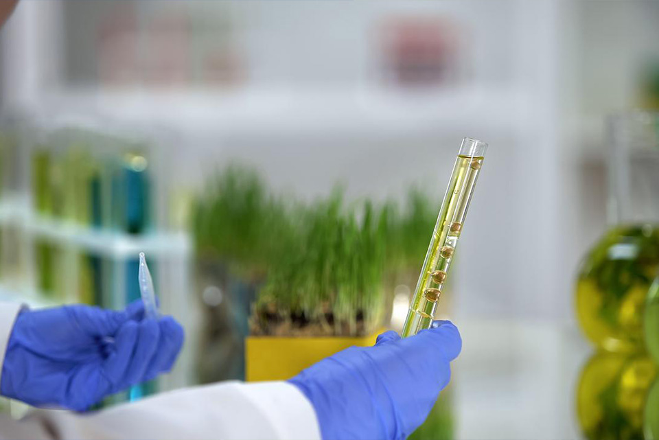 Empowering Brands with Bio-Based Innovation: Braskem Highlights I'm green<sup>TM</sup> bio-based Portfolio at Sustainable Brands 